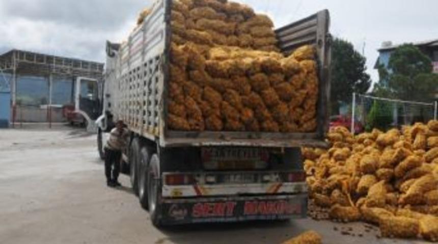 Osmaniye Belediyesi 125 Ton Patates Dağıttı