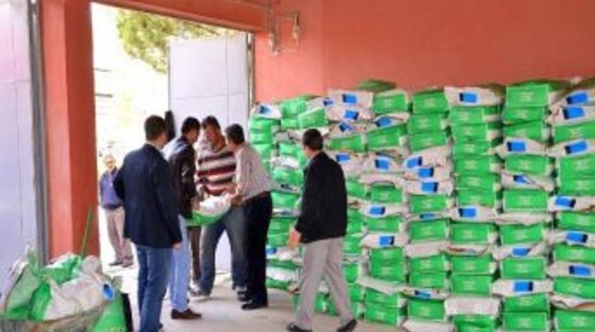 Alternatif &Uuml;r&uuml;n Tohumları Dağıtılmaya Başlandı