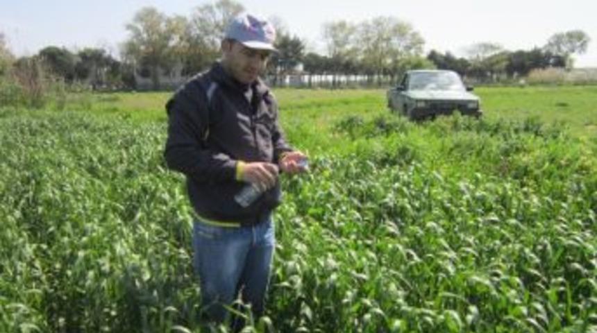 Lapsekide S&uuml;ne İle M&uuml;cadele Başladı