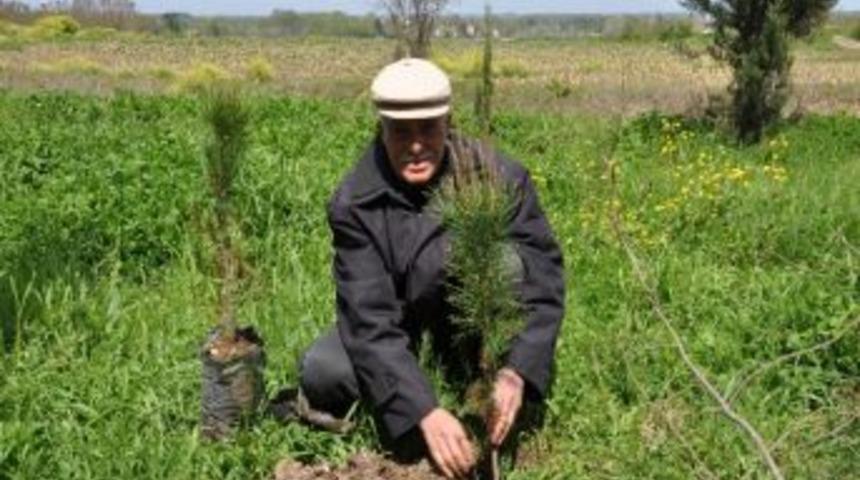 Chp&rsquo;liler Mezarlığı Ağa&ccedil;landırdı