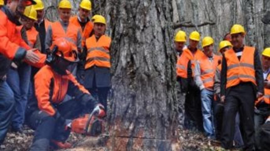 Ormanda Uygulamalı Eğitim