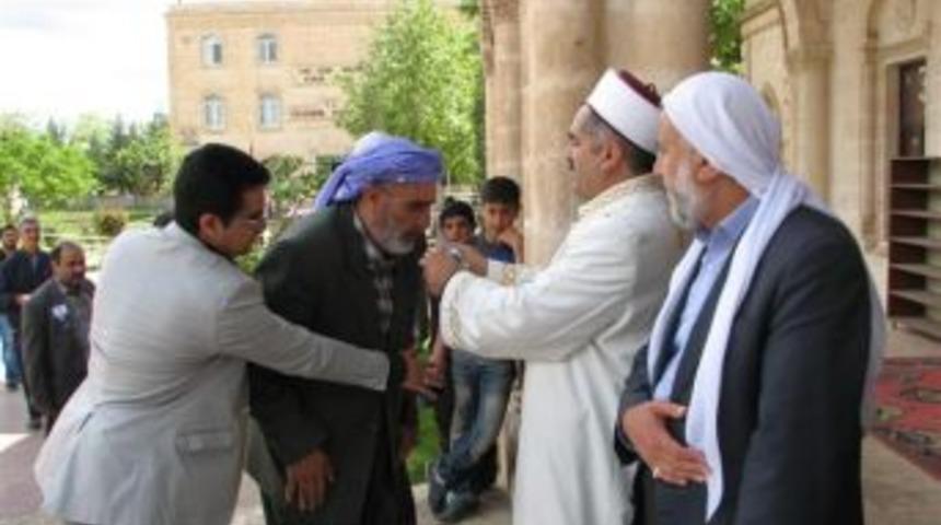 Viranşehir&rsquo;de sakalı şerif kuyruğu