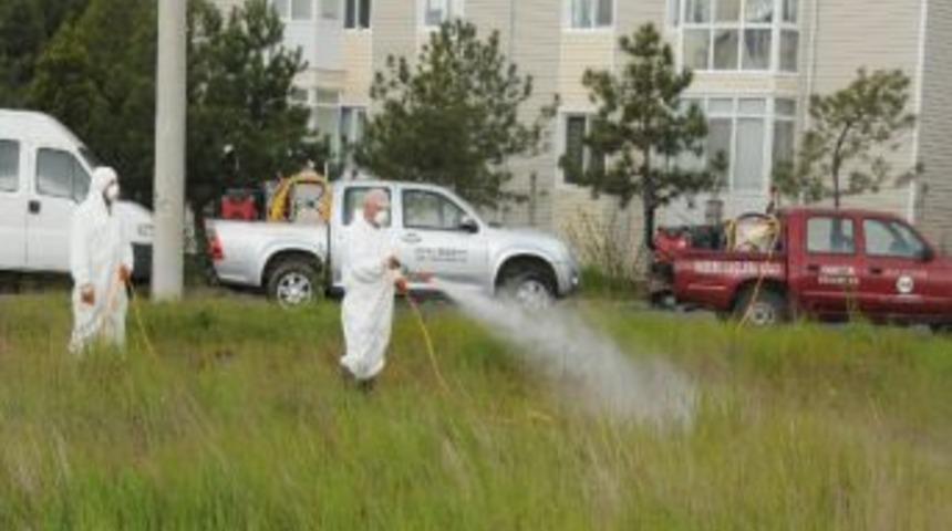 &Ccedil;orlu Belediyesi Sivrisinek, Karasinek Ve Larva M&uuml;cadelesine Başladı