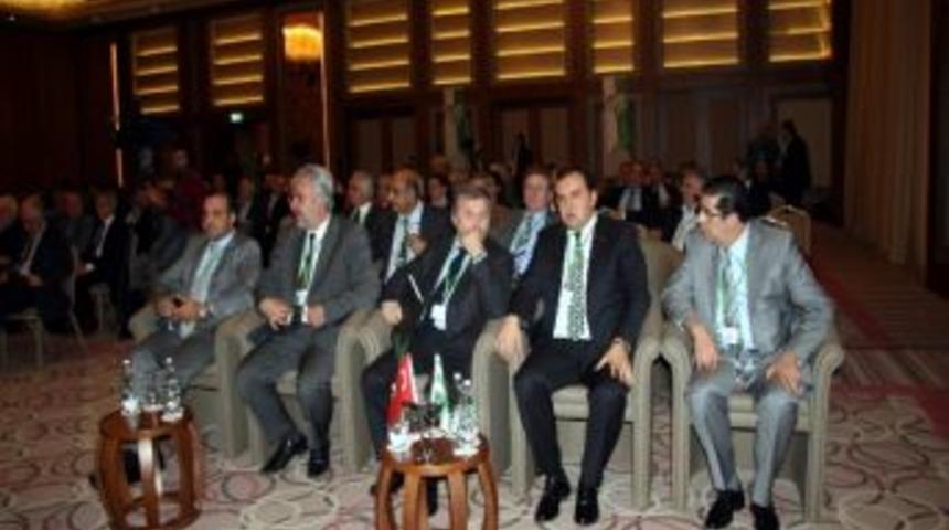 Timsah Arena İ&ccedil;in 120 Milyon Lira Gerekiyor