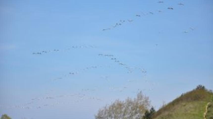 G&ouml;&ccedil; Eden Leylekler Havada İlgin&ccedil; G&ouml;r&uuml;nt&uuml;ler Oluşturdu