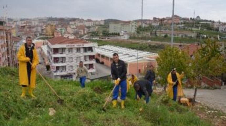 Bilecik'te 10 Mahk&uuml;m Park Ve Bah&ccedil;e İşlerinde &Ccedil;alıştırılıyor