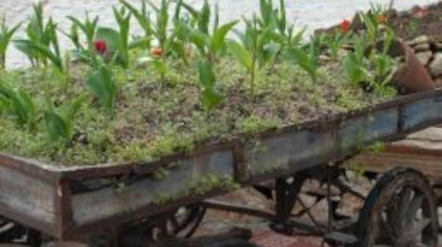 Yeşilbaşk&ouml;y Tarihi Su Değirmeni, K&ouml;y Kahvaltı Merkezi A&ccedil;ıldı