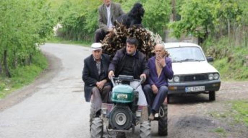 Köpek Deyip Geçmeyin