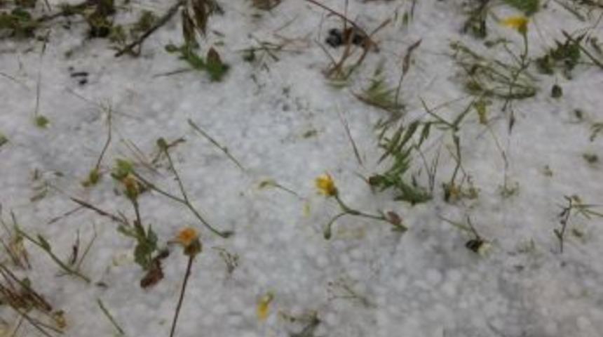 Şanlıurfa&rsquo;da Dolu Yağışı Etkili Oldu