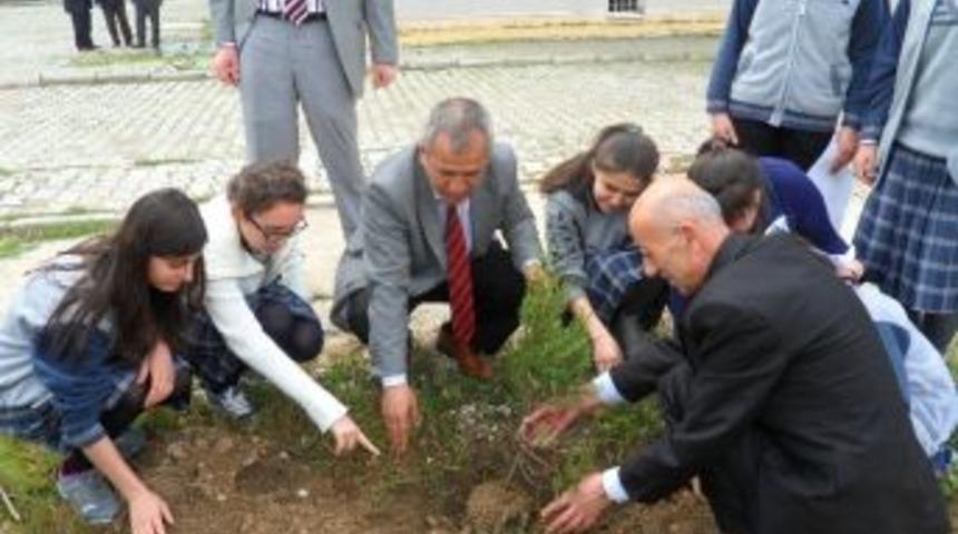 Okul Bah&ccedil;elerine Fidan Dikildi
