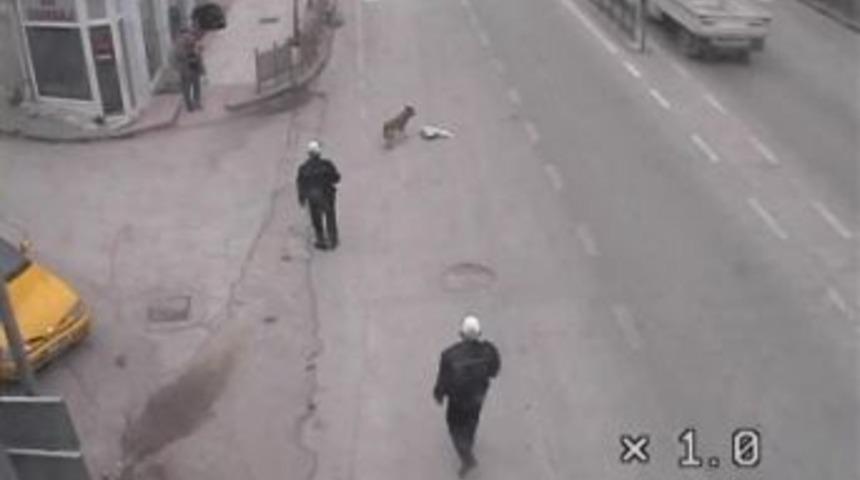 Amasya&rsquo;da İlgin&ccedil; Mobese G&ouml;r&uuml;nt&uuml;leri