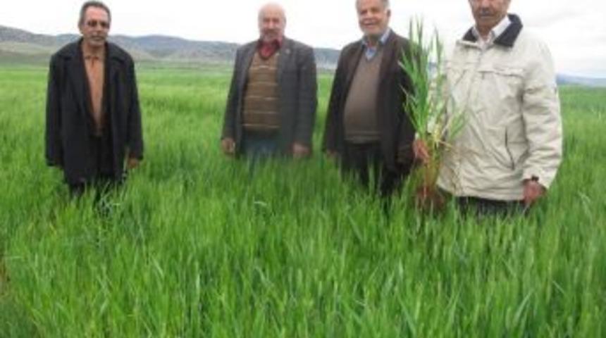 Nisan Yağmurları &Ccedil;ift&ccedil;inin Y&uuml;z&uuml;n&uuml; G&uuml;ld&uuml;rd&uuml;