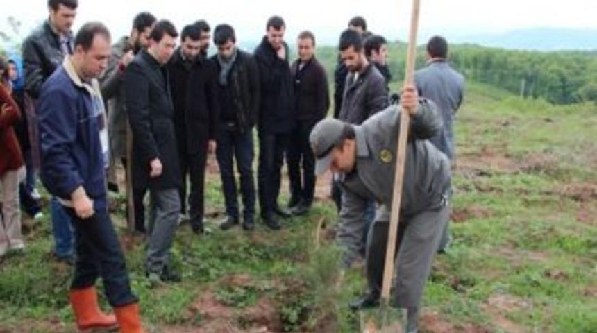 Sakarya Ak Parti İl Gen&ccedil;lik Kolları Fidan Dikti
