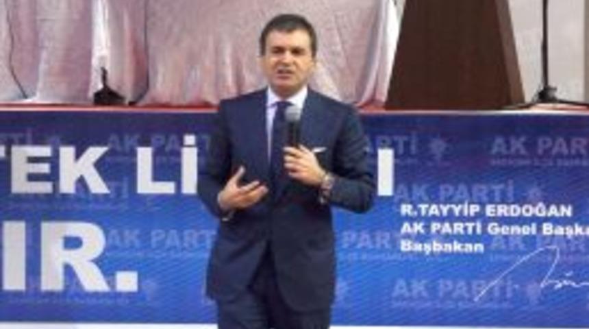 Çelik: 'Bayrak' Mitingi Çözüm Sürecine Provoke Edecek Bir Eylem