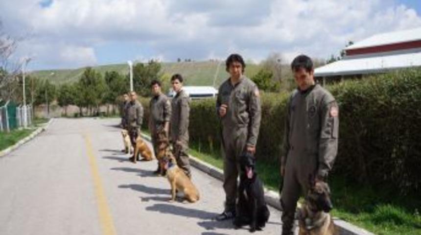 Yoğun Mesai Yapan Polis K&ouml;peklerine Psikolojik Destek Veriliyor