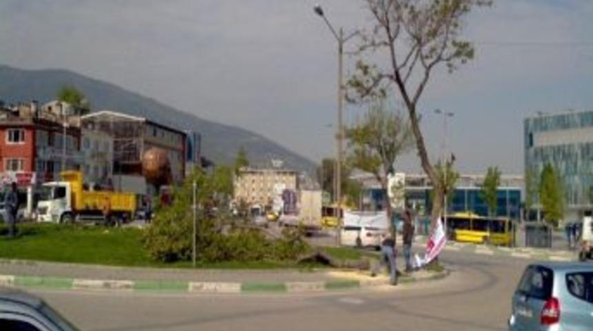 Kent Meydanı&rsquo;nda Kesilen Ağa&ccedil;lara Tepki