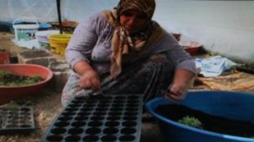 Seracılık Yaparak &Ccedil;ocuklarını Okutuyor