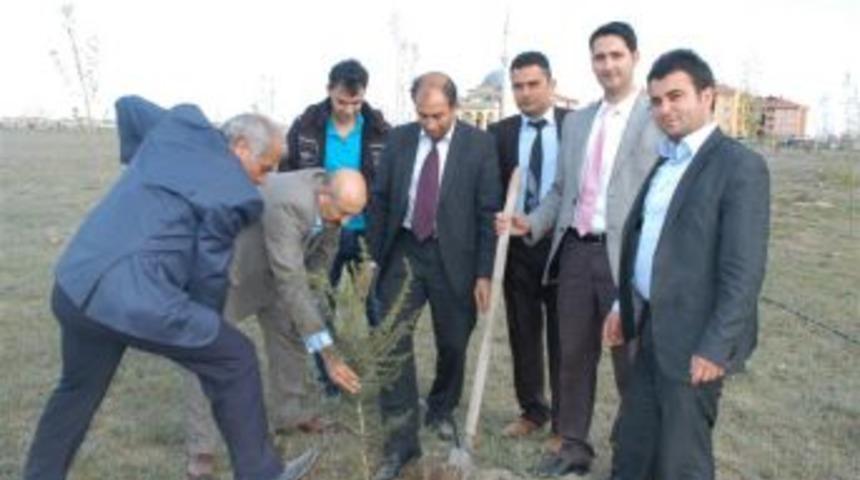Basın Mensupları Fidan Dikti