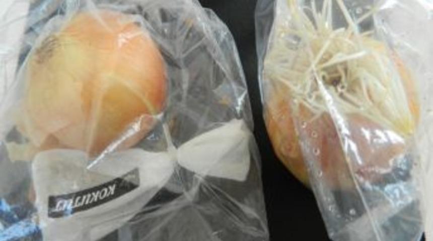 Meyve Ve Sebze &Uuml;reticilerine M&uuml;jdeli Haber