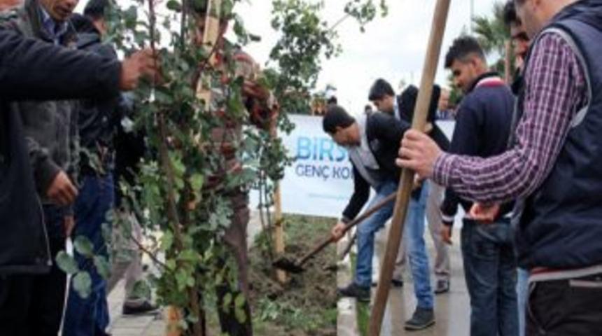 MK&Uuml;'de Kutlu Doğum Ormanı Oluşturuldu