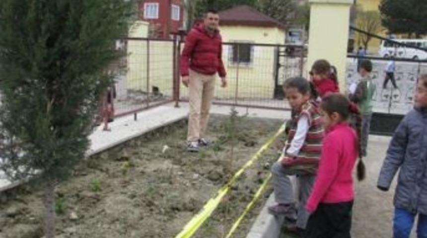 &Ouml;ğretmen Ve &Ouml;ğrenciler Okul Bah&ccedil;esine Meyve Ve G&uuml;l Fidanı Dikti