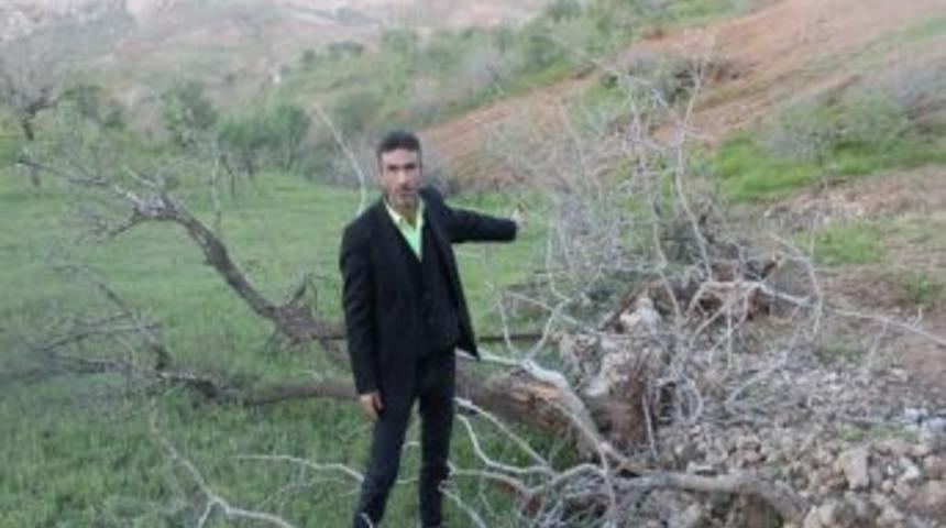 Bağ Sahipleri &Ccedil;evre Yoluna Tepki G&ouml;sterdi