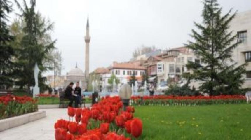 Altındağ&rsquo;a 250 Bin Lale Dikildi