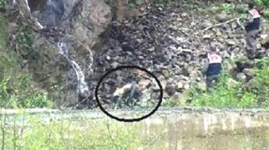 Kayıp gencin cesedi bulundu