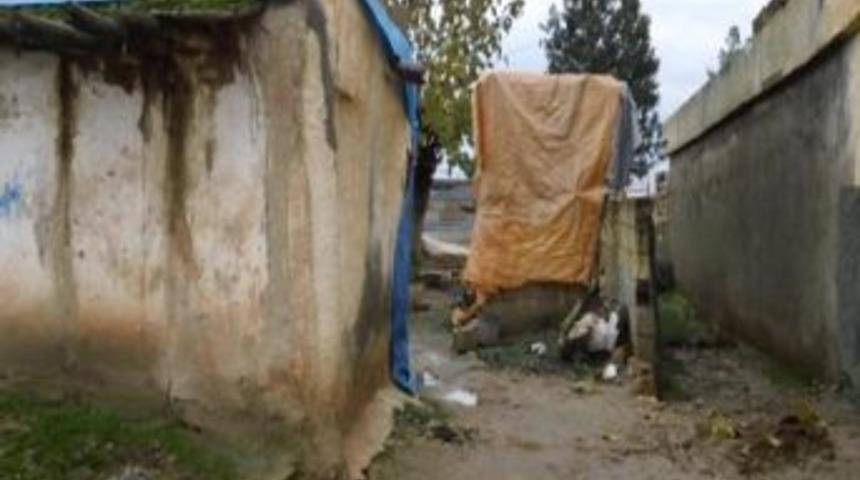 Yaşlı Kadının Yardım İsteği