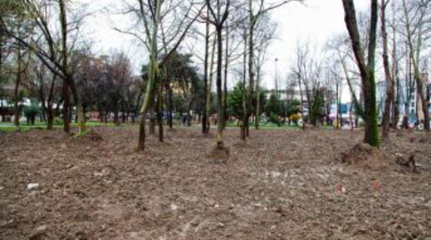 Sakarya Şemsiyeli Parkı&rsquo;na Kavuşuyor