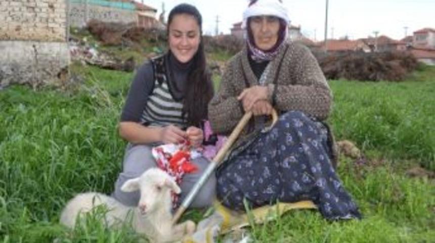 80 Yaşında, Hala &Ccedil;obanlık Yapıyor