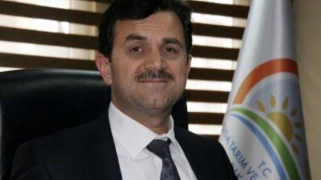 Atasu Havzası Organik Tarımda Örnek Olacak