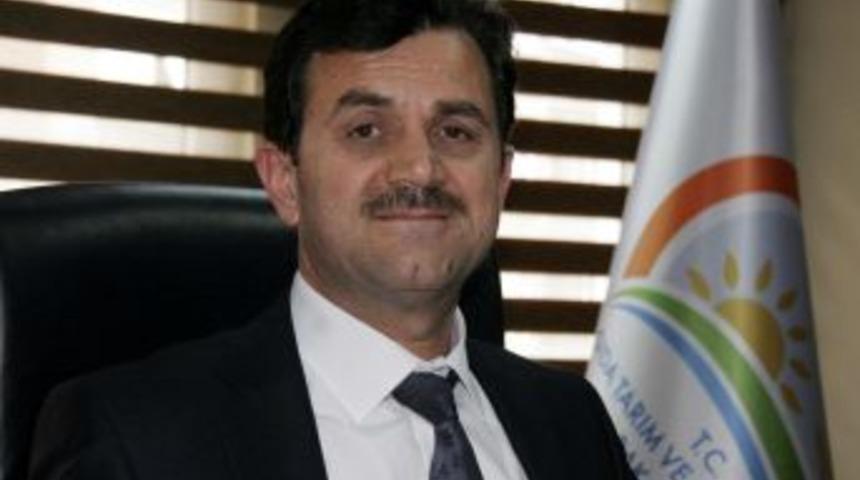 Atasu Havzası Organik Tarımda &Ouml;rnek Olacak