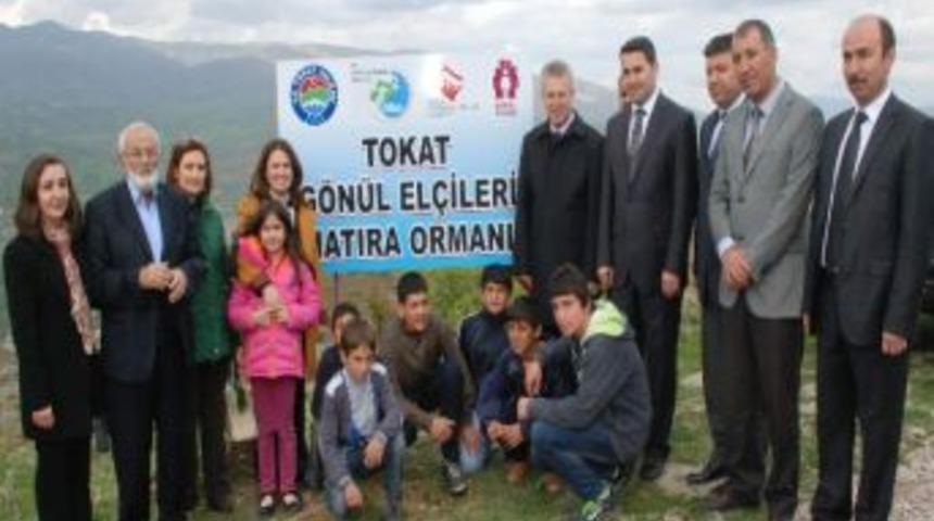 Her G&ouml;n&uuml;l El&ccedil;isi İ&ccedil;in Bir Fidan