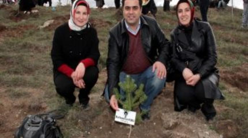 Ak Partili Kadınlar Fidanları Toprakla Buluşturdu