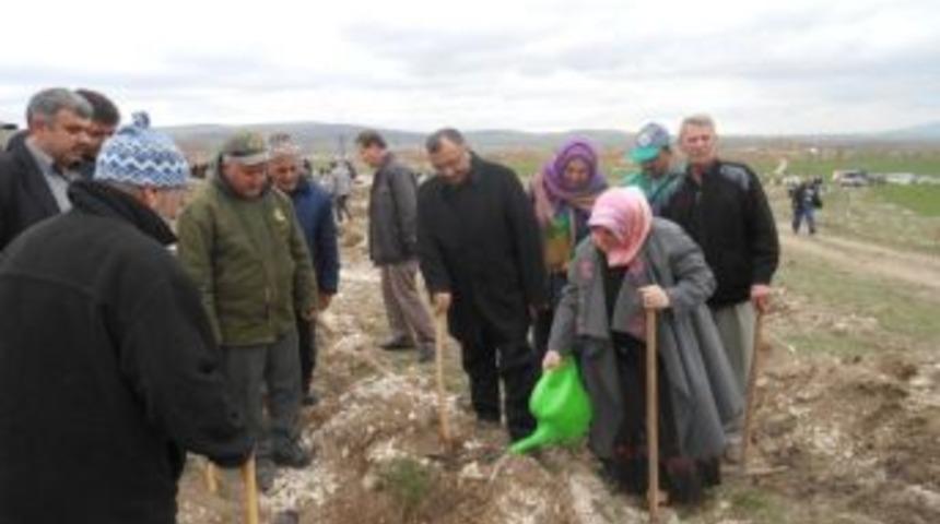 K&uuml;tahya'da 10 Bin Fidan Toprakla Buluştu