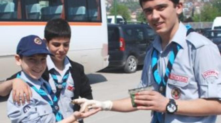 &acute;Kınalı Kuzular&acute; &Ccedil;anakkale yolunda