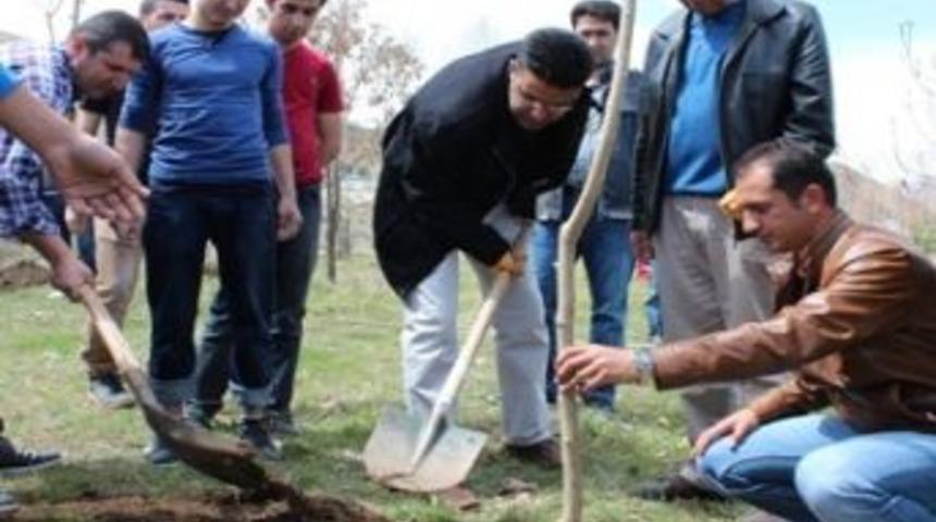 Van&rsquo;da &lsquo;senin De Bir Dikili Ağacın Olsun&rsquo; Kampanyası