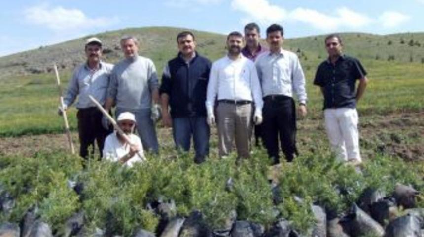 Yerk&ouml;y Şehitliği'nde Mehmet&ccedil;ik Hatıra Ormanı Oluşturuldu