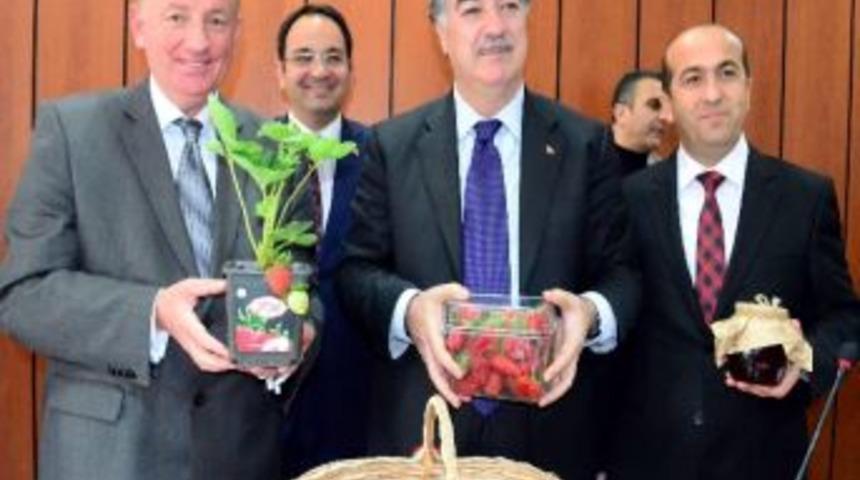 Sultanhisar &Ccedil;ileğinin Kokusunu Ankara Duyacak