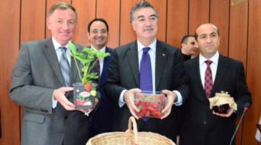 Aydın &ccedil;ileği Ankara yollarında