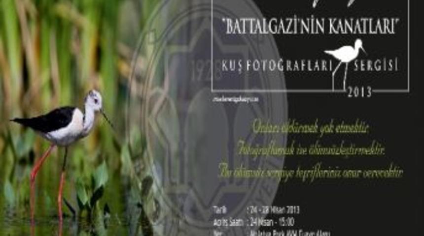 Malatya&rsquo;da Kuş Fotoğrafları Sergisi A&ccedil;ılacak