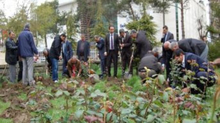 Tatvan&rsquo;da &ldquo;g&uuml;l Bah&ccedil;esi&rdquo; Oluşturuldu