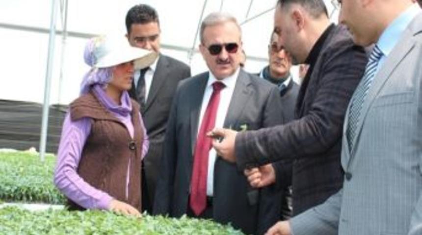 Van&rsquo;dan Sebze İhracatı Yapılacak