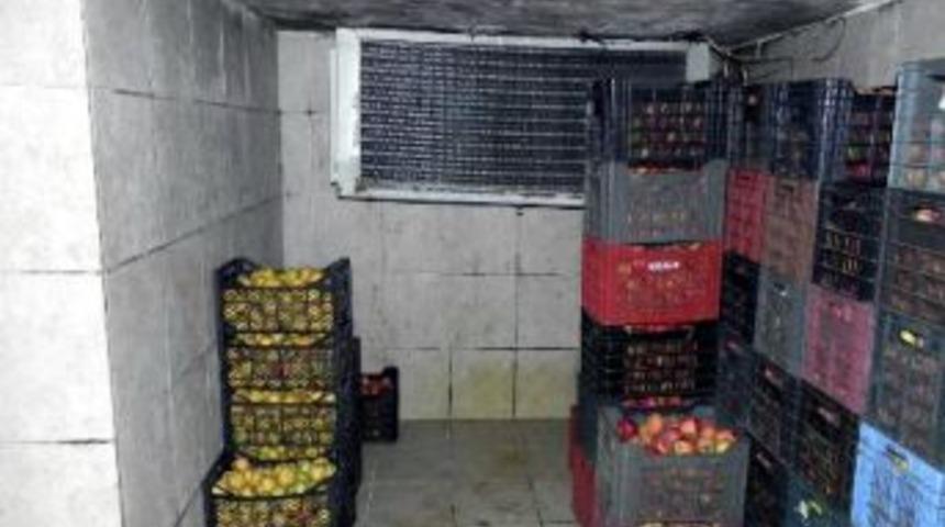 Ayıların Yiyecekleri I&ccedil;in Soğuk Hava Deposu