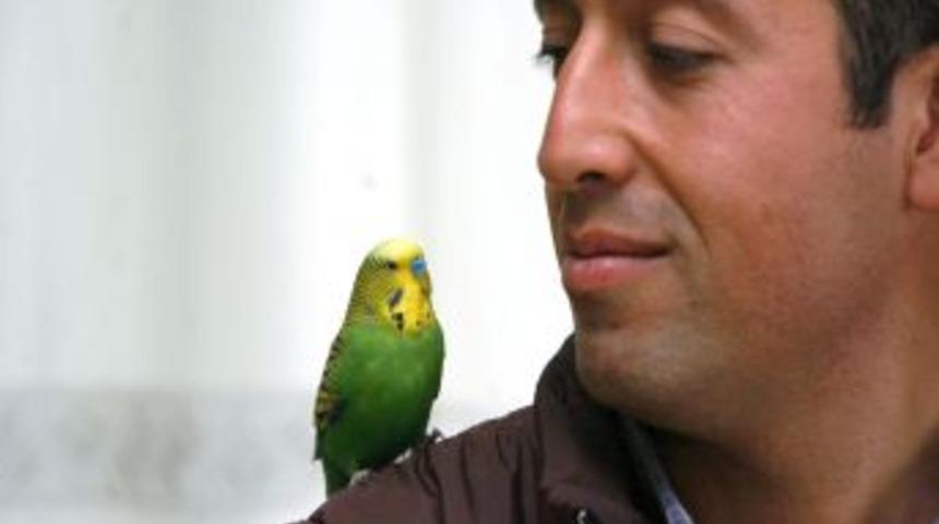 Muhabbet Kuşu Sofi, İhlas Suresini Eksiksiz Okuyor