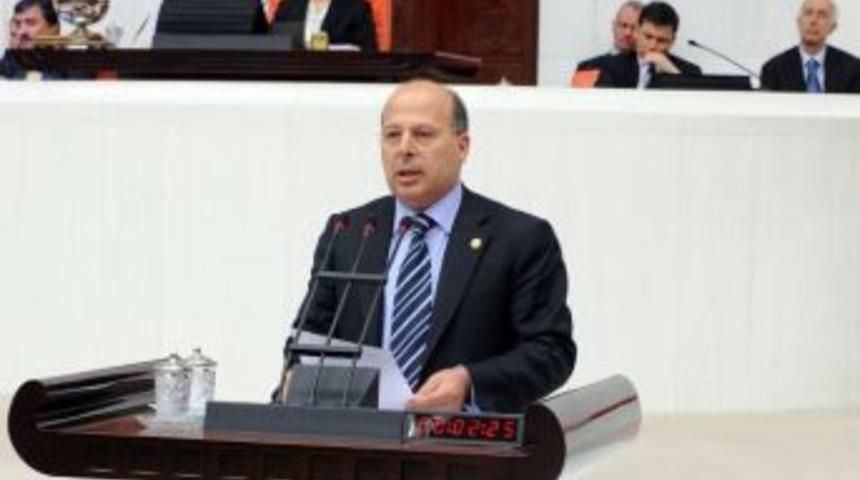 Chp'li Demir&ccedil;alı M&uuml;ft&uuml; G&ouml;kce'nin S&ouml;zlerini Tbmm'ye Taşıdı