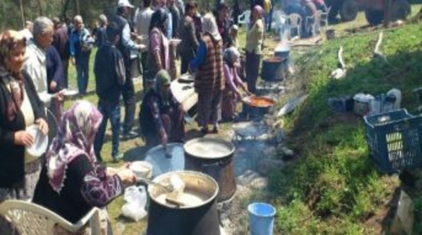 &Ouml;m&uuml;r Yaylasındaki 30 Yıllık Gelenek Devam Ediyor