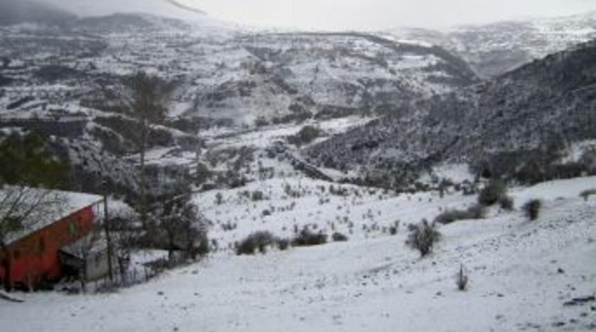 Posof Beyaza B&uuml;r&uuml;nd&uuml;