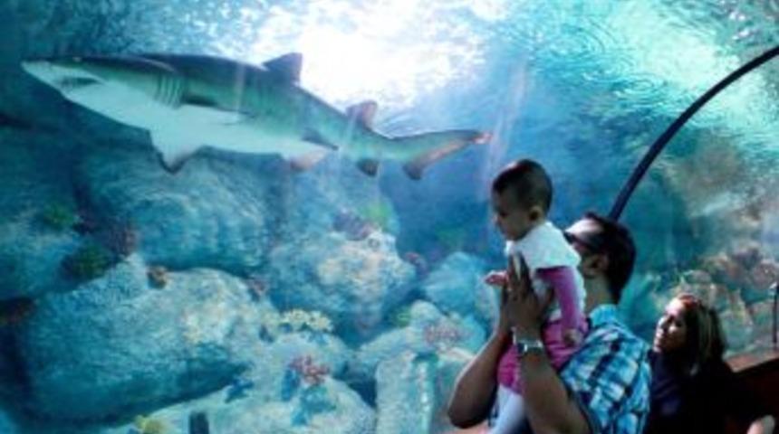 Aqua Vega Ziyaret&ccedil;i Akınına Uğruyor